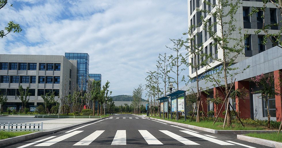 校园的道路